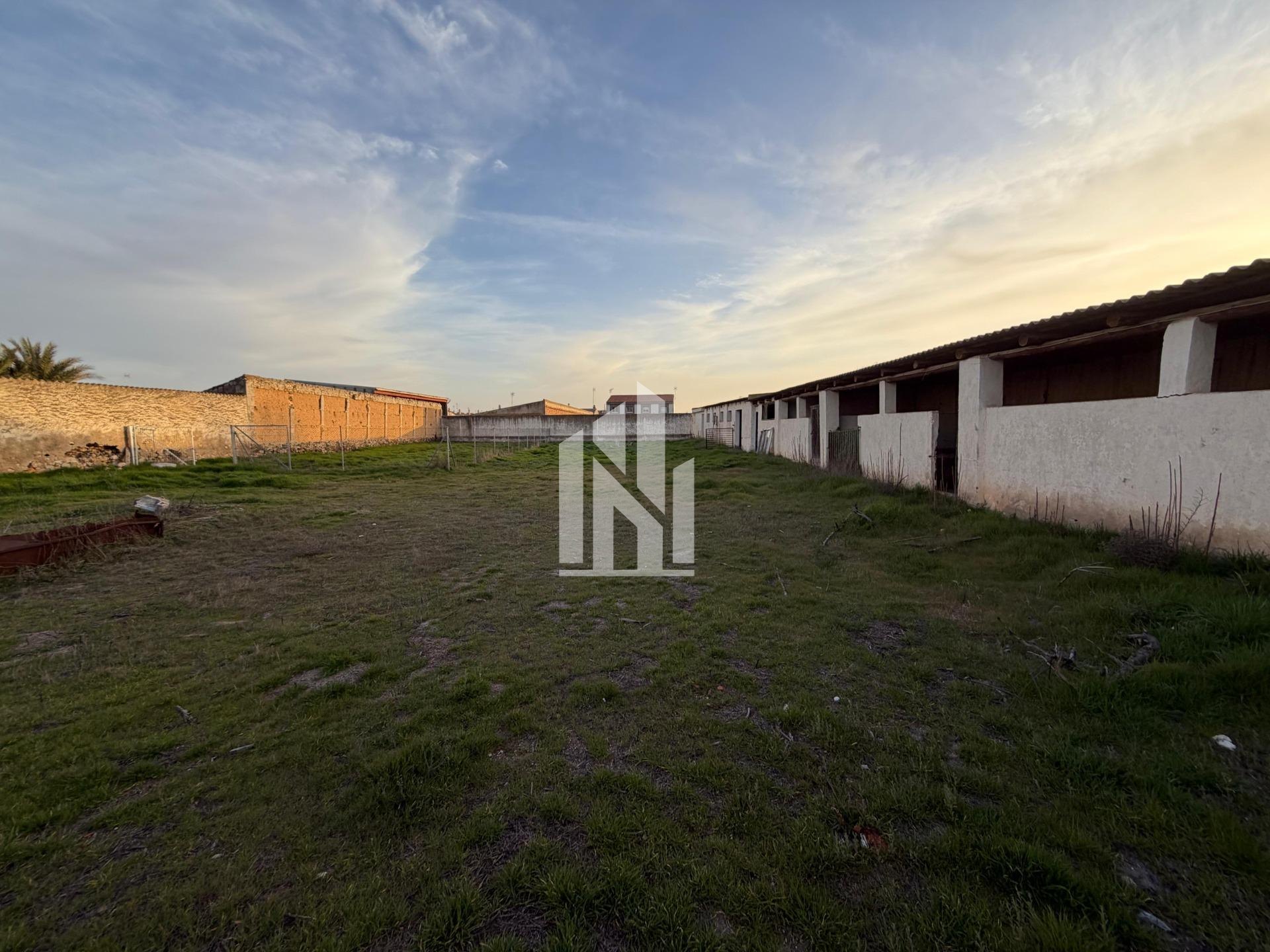 TERRENO EN VENTA EN LILLO