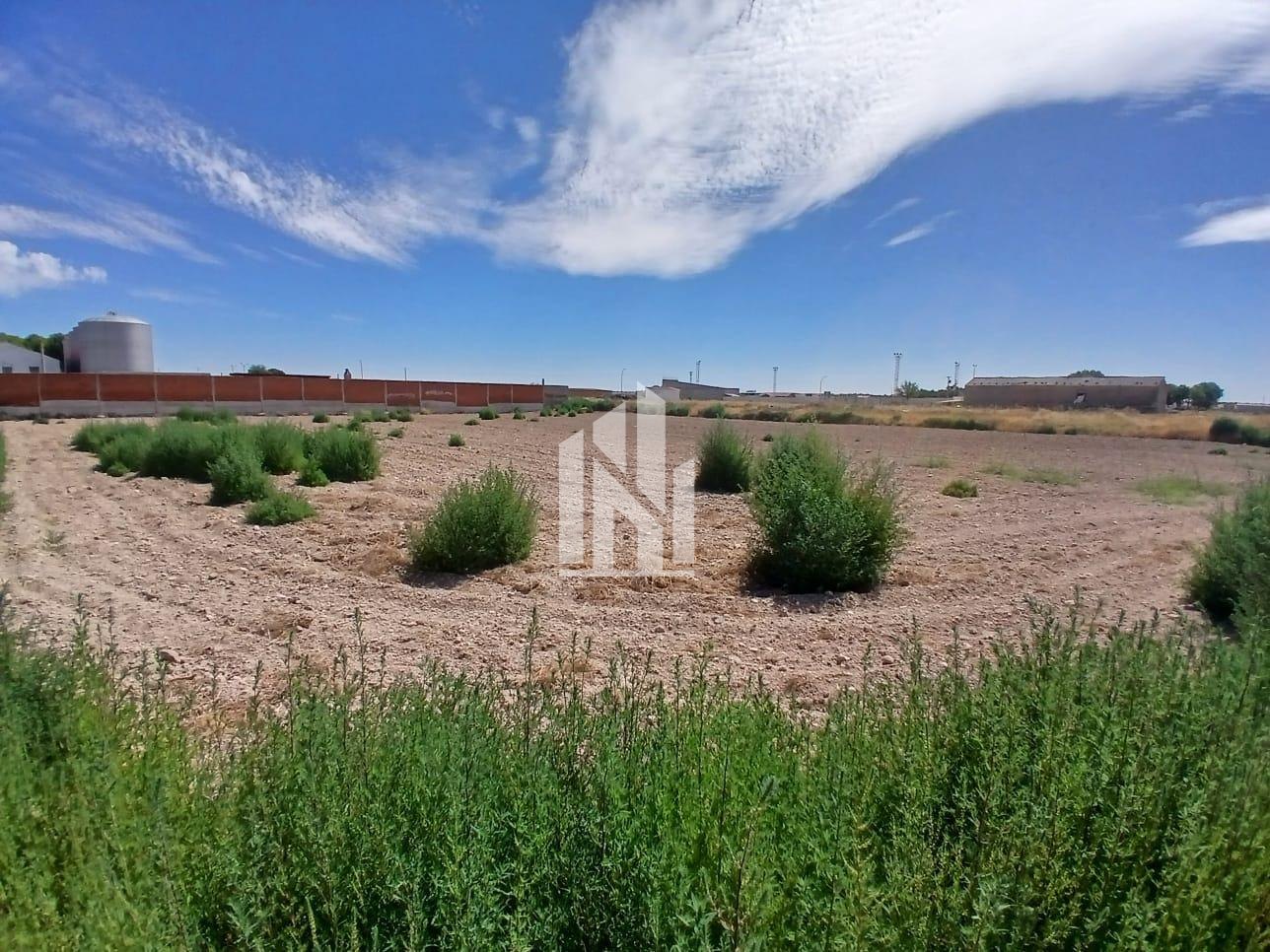 Gran Oportunidad | Parcela Rústica de 2.854 m² con Excelente Acceso en Lillo (Toledo)
